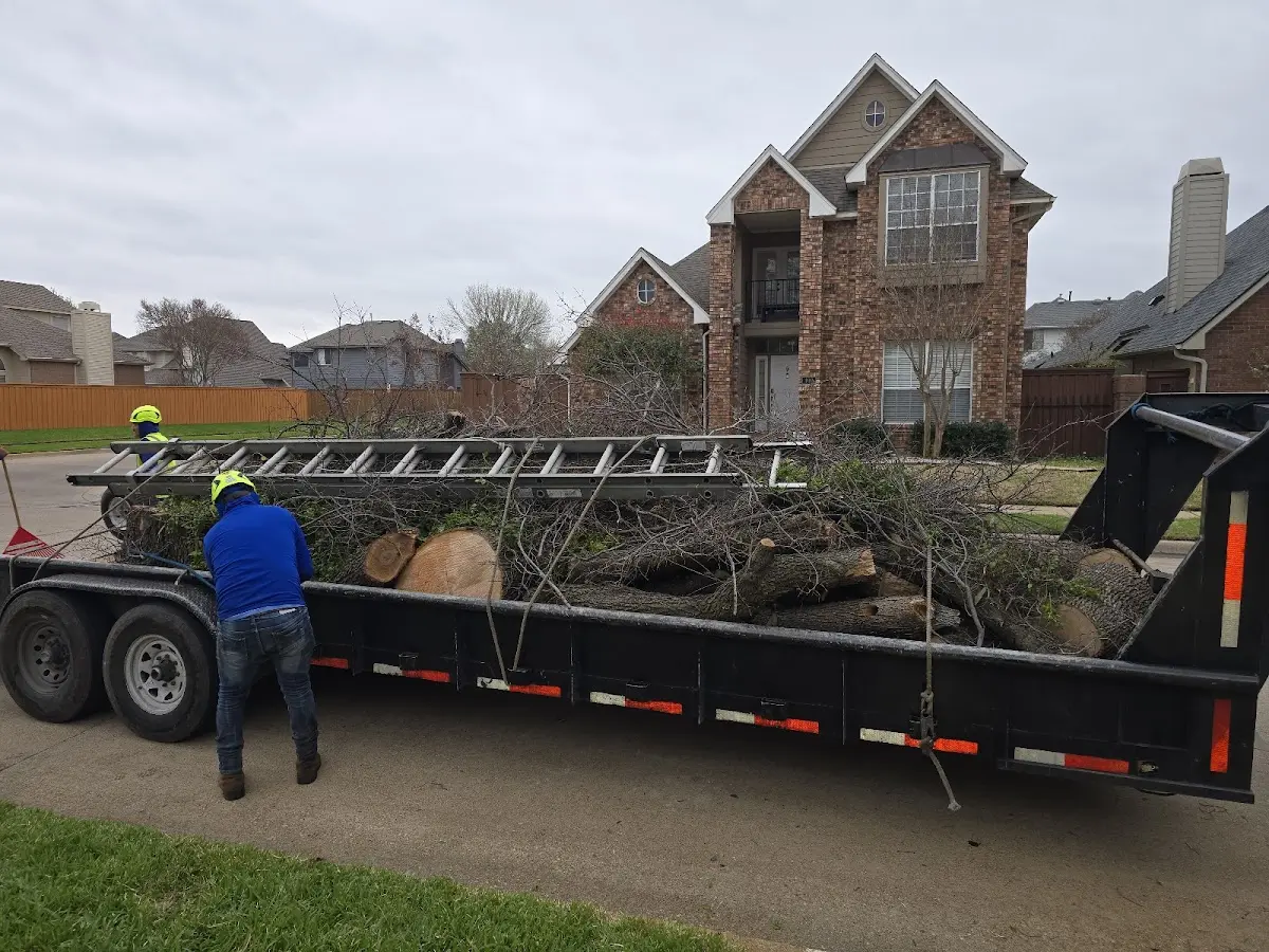 Expert Tree Removal with proper safety equipment in Yale